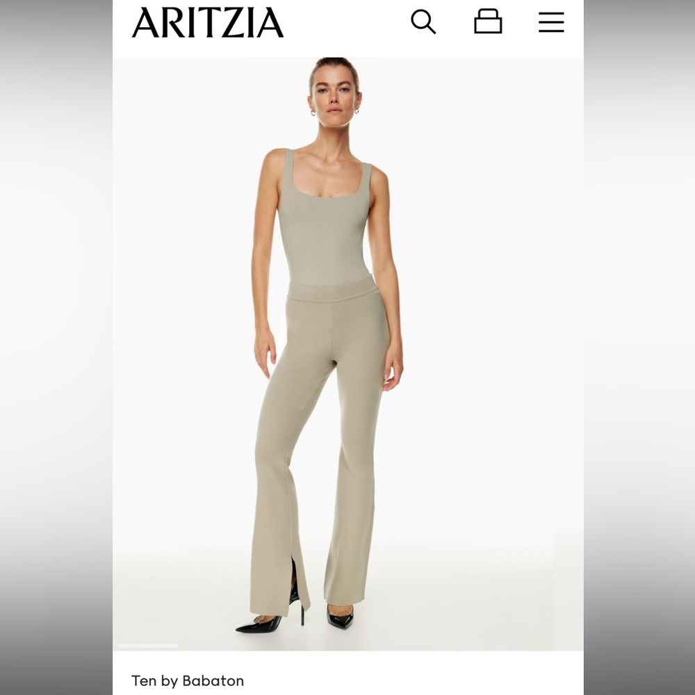 Ten by Babaton Aritzia Paramount Pants